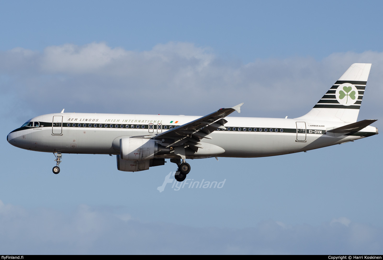 EI-DVM